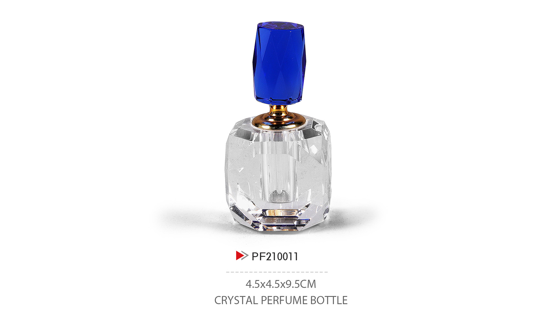 PF210011