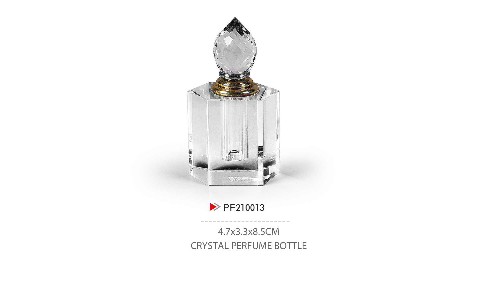 PF210013