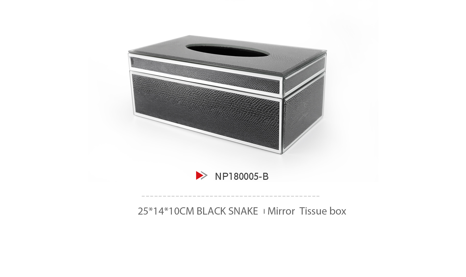 NP180005-B