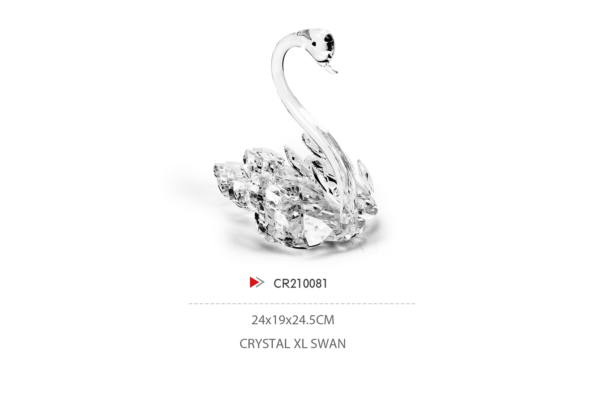 CR210081