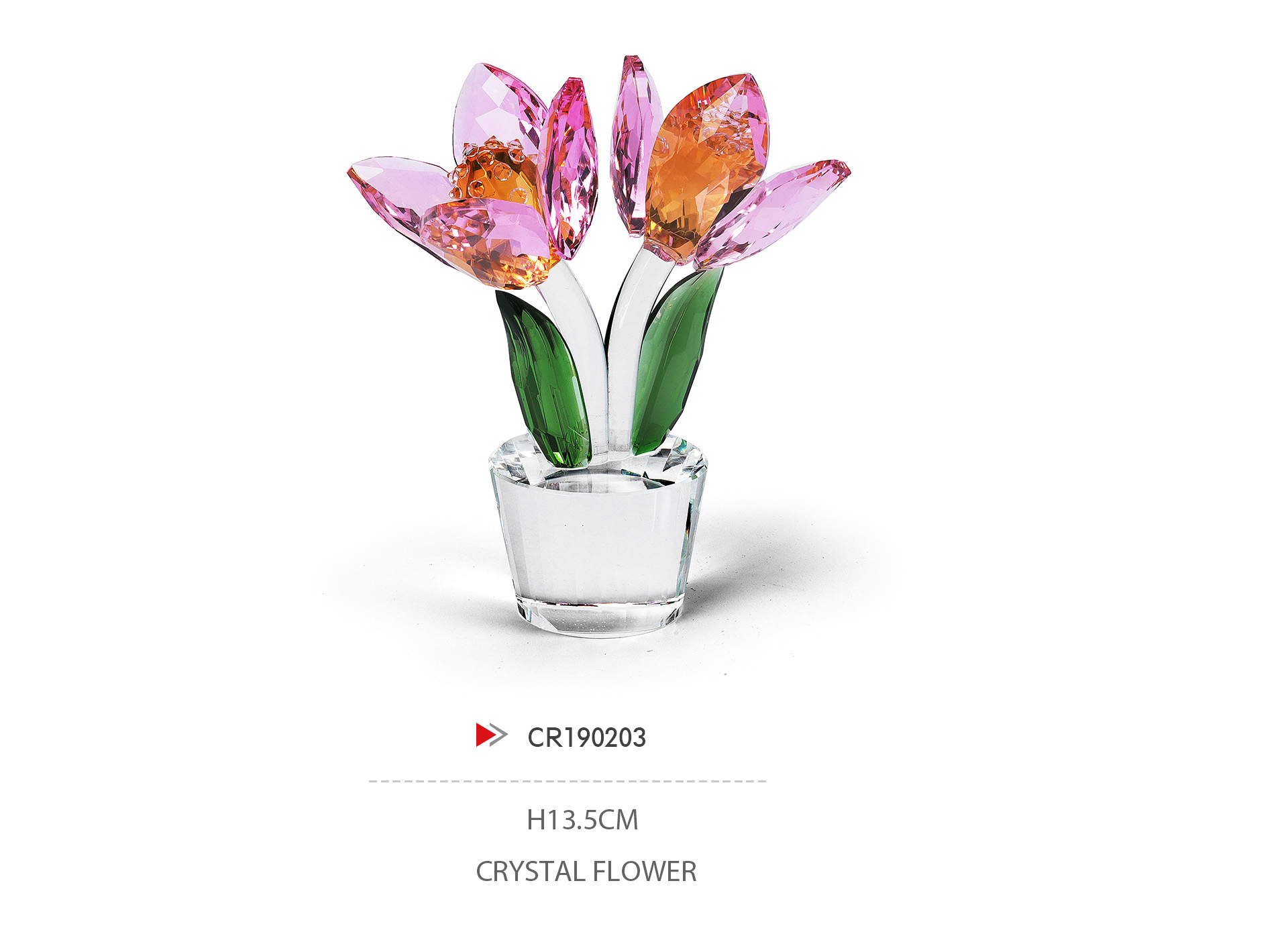 CR190203
