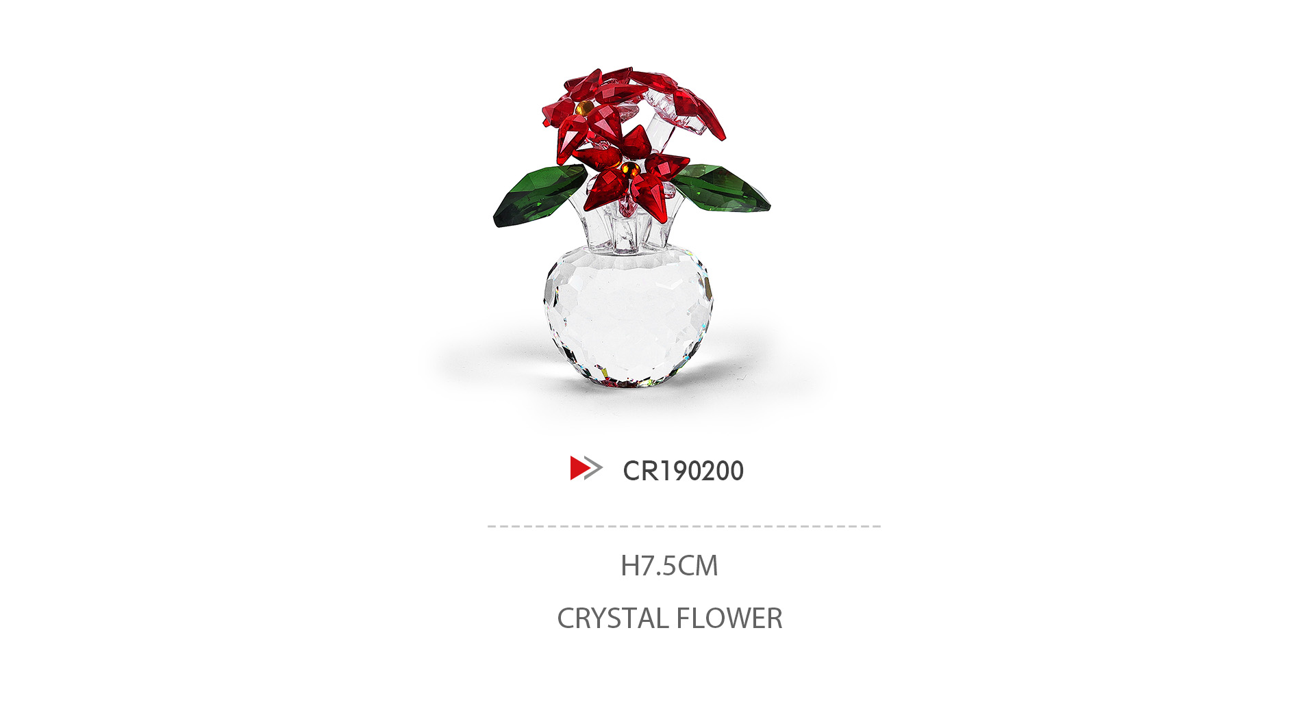 CR190200