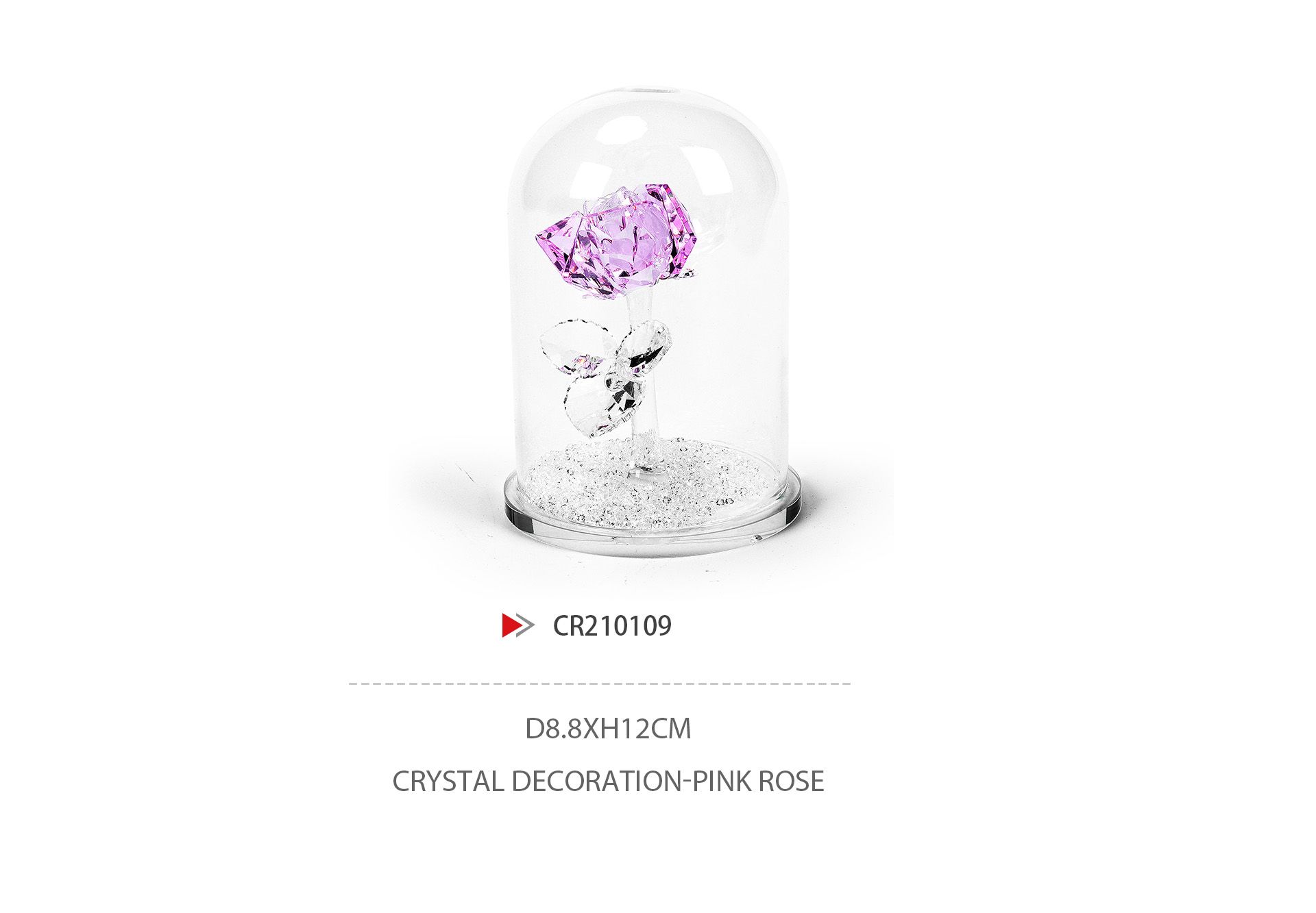 CR210109