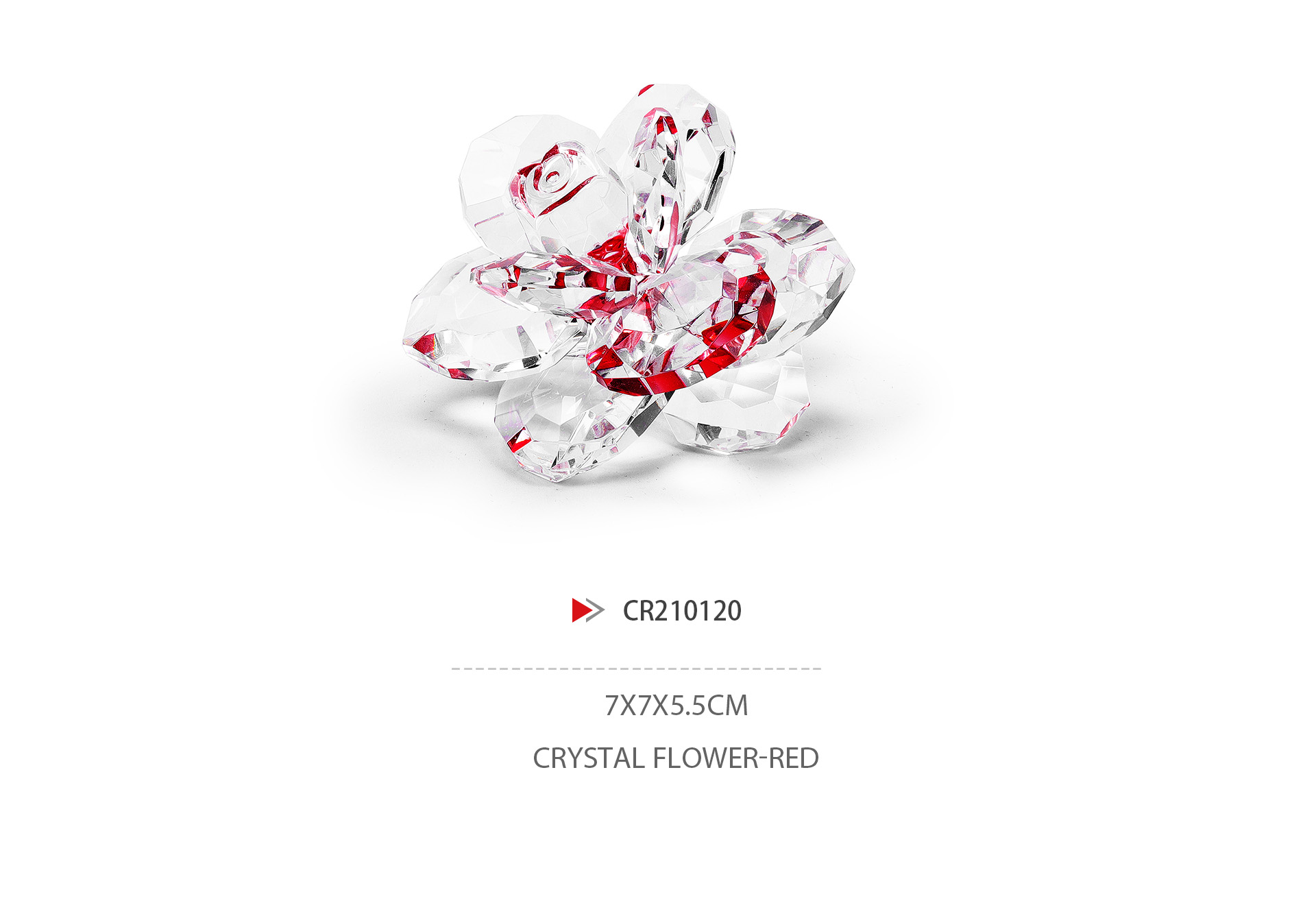 CR210120