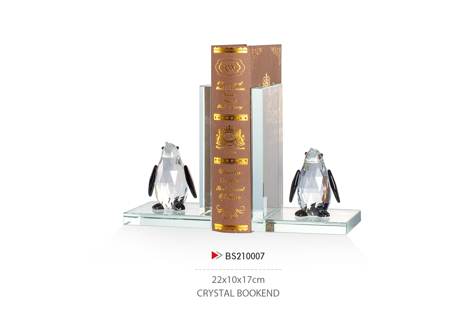 BS210007