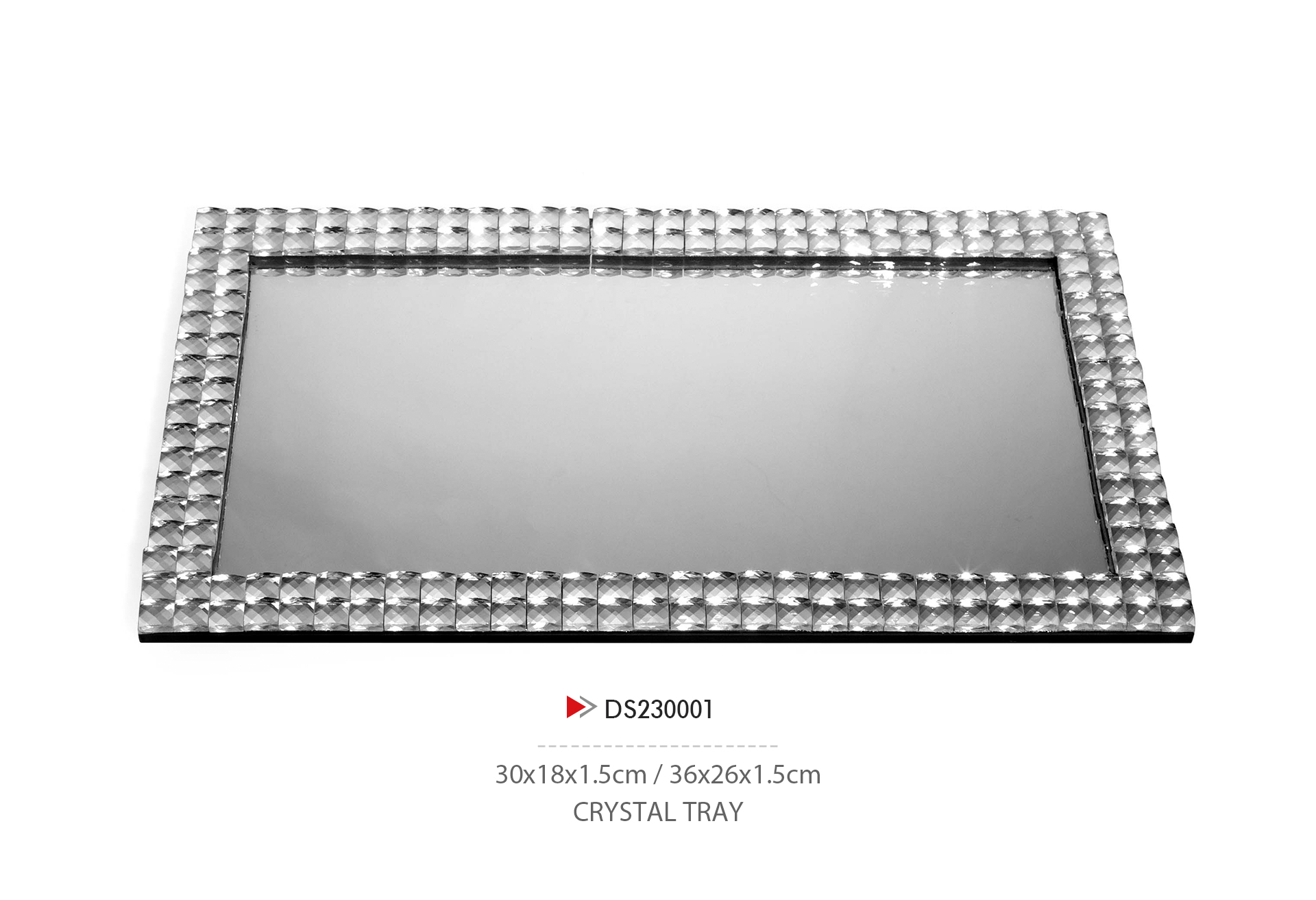 DS230001