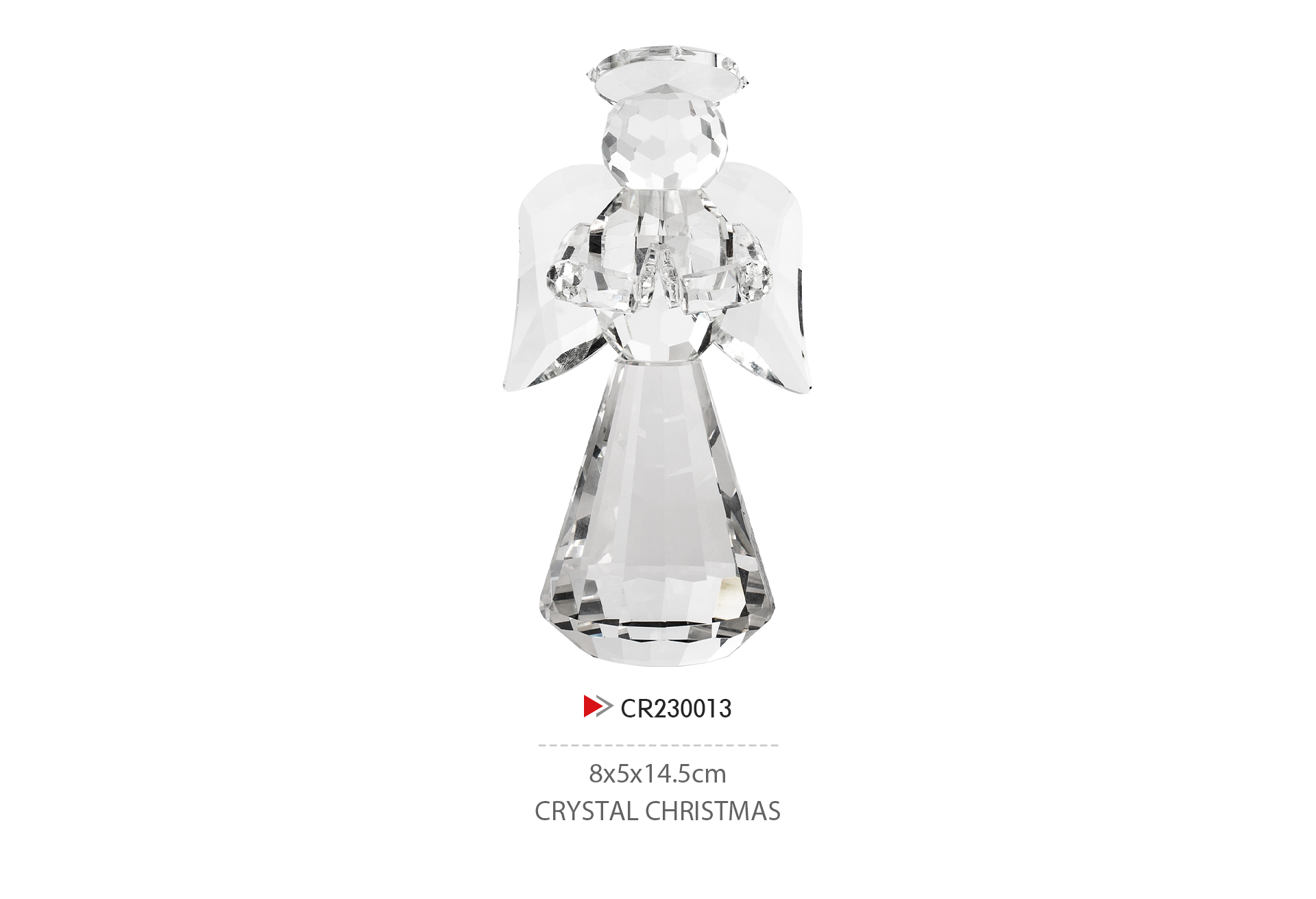 CR230013