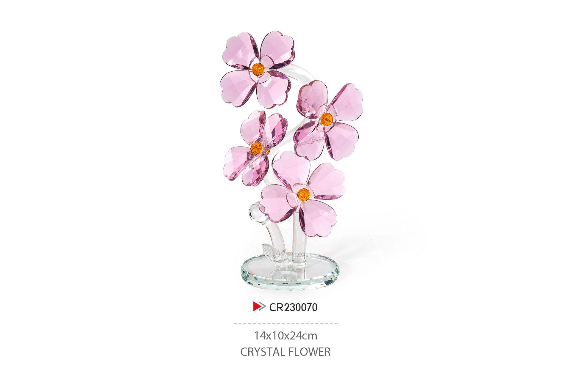 CR230070