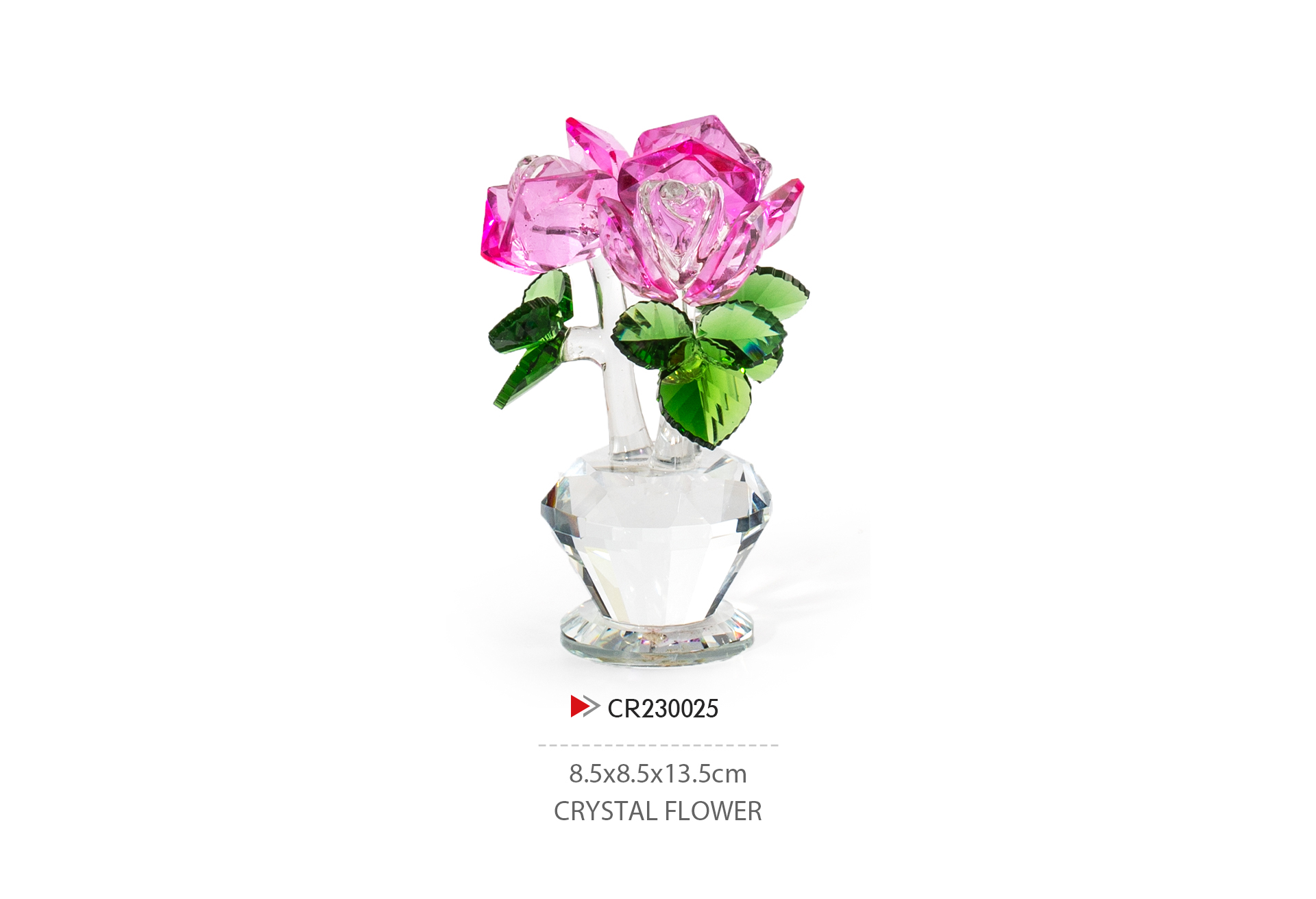 CR230025