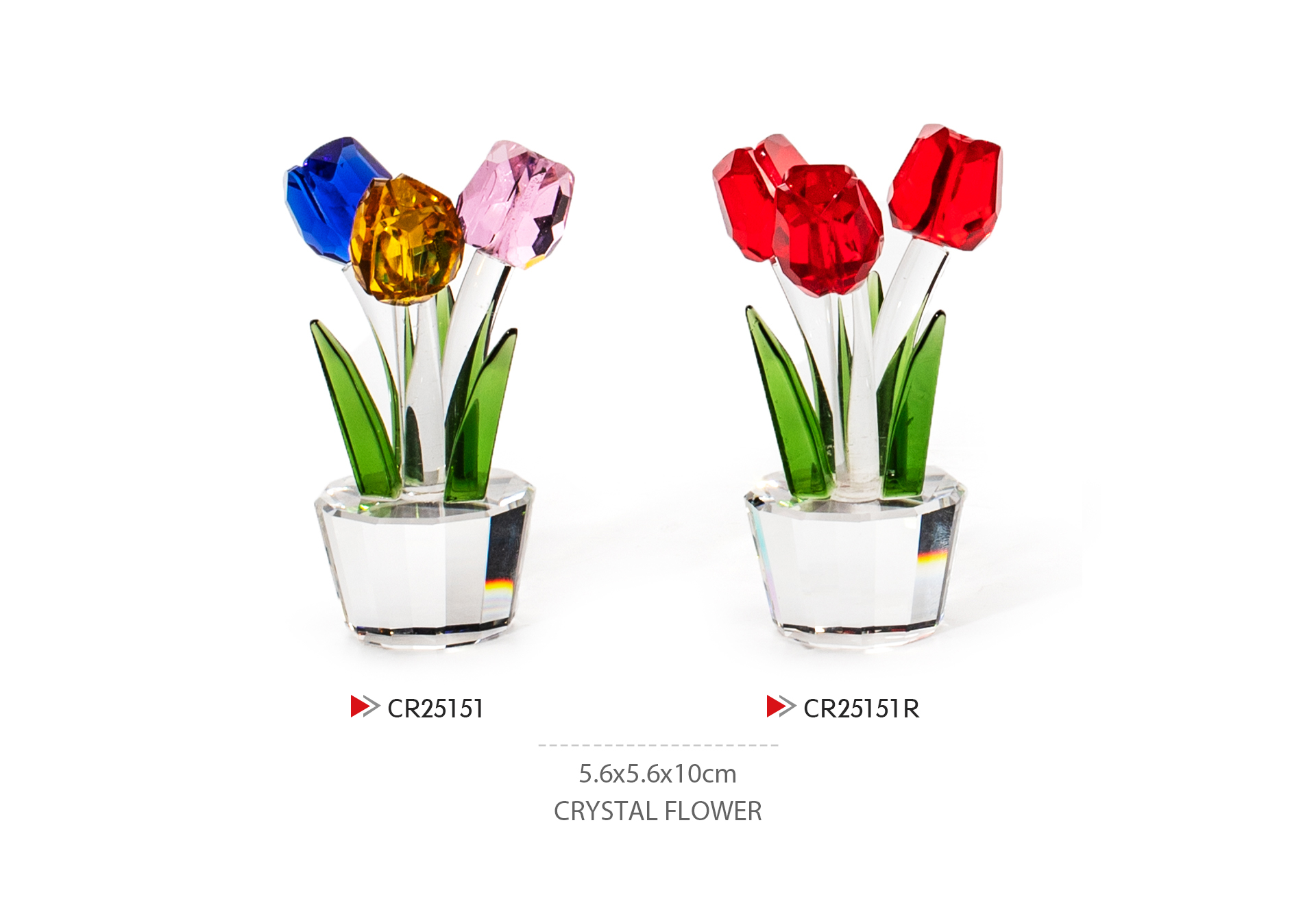 CR25151