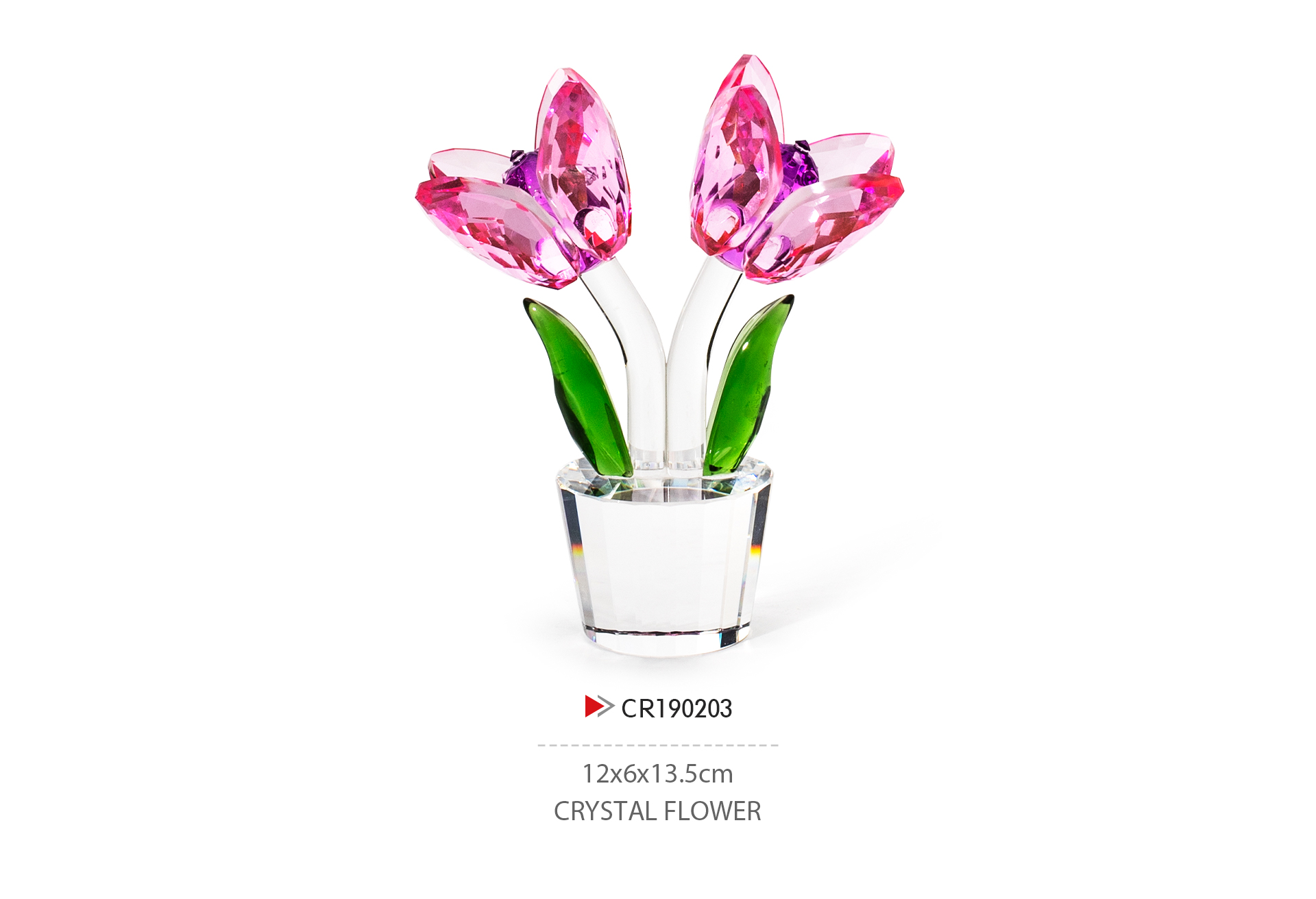 CR190203