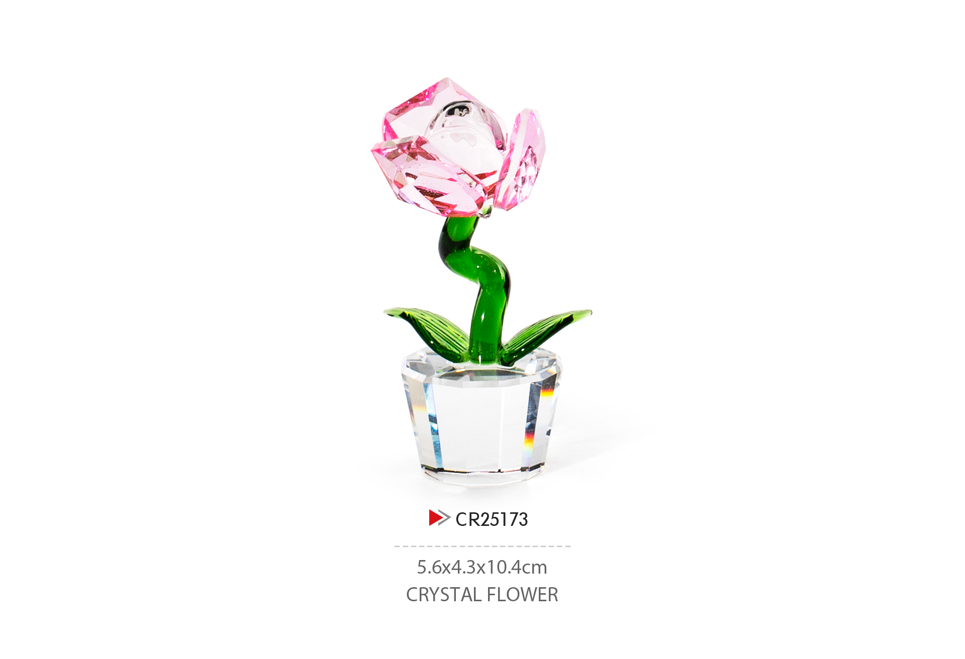 CR25173