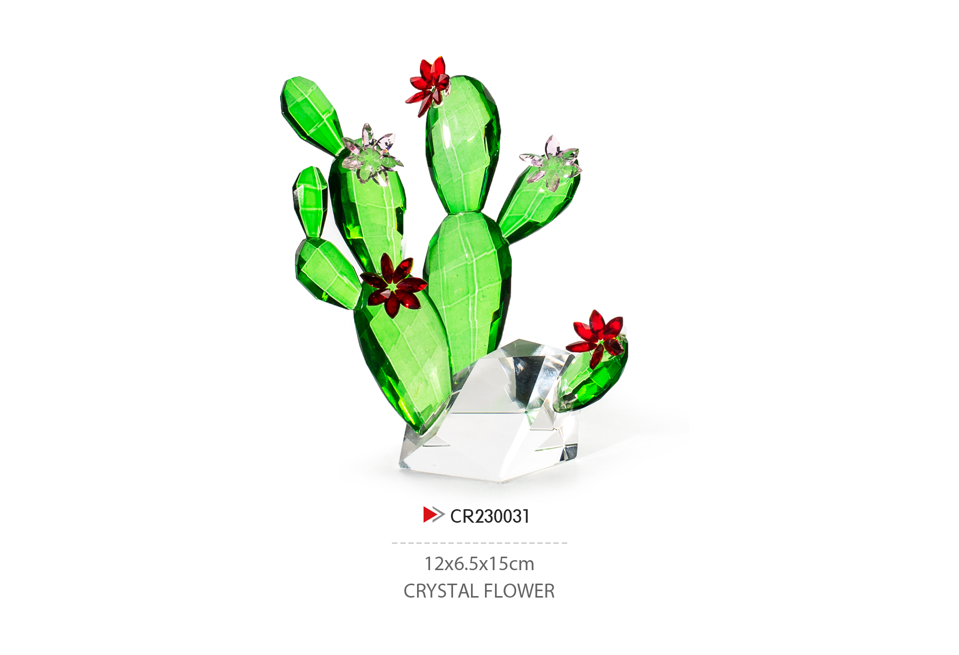 CR230031