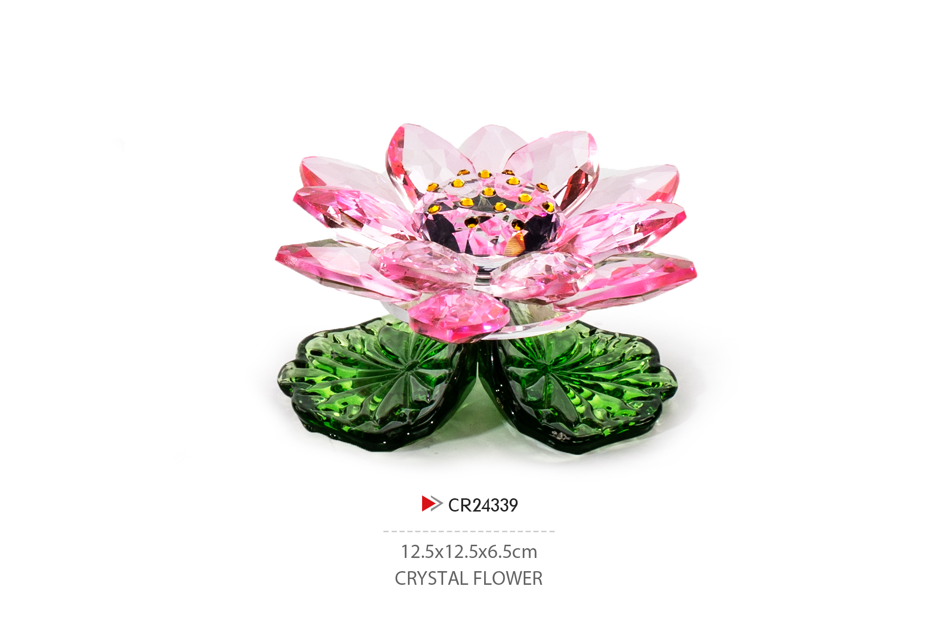 CR24339